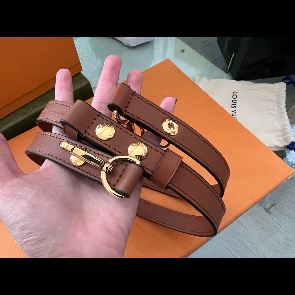 Louis Vuitton Dauphine strap